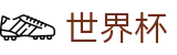 FIFA 2026世界杯中国区唯一指定官网 - 热门体育赛事全覆盖